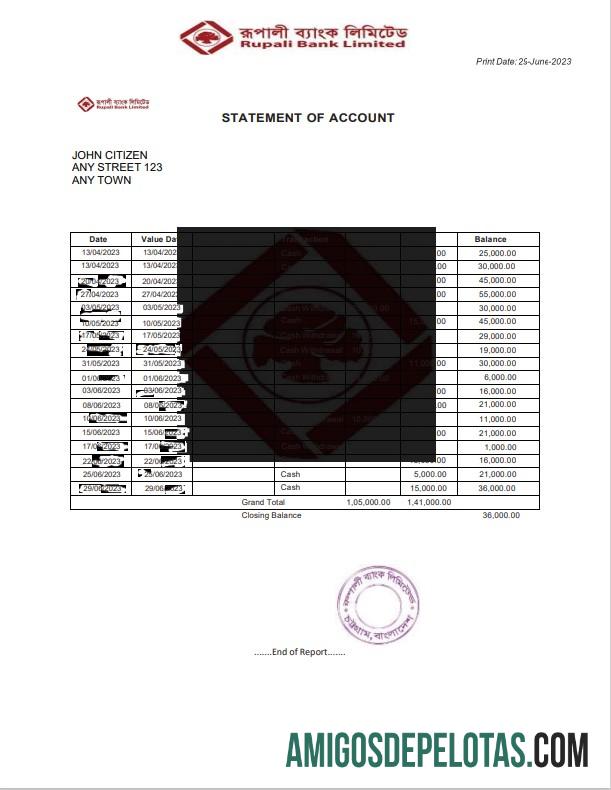 modelo realista de extrato bancário da Índia Rupali Limited, formato Word e PDF